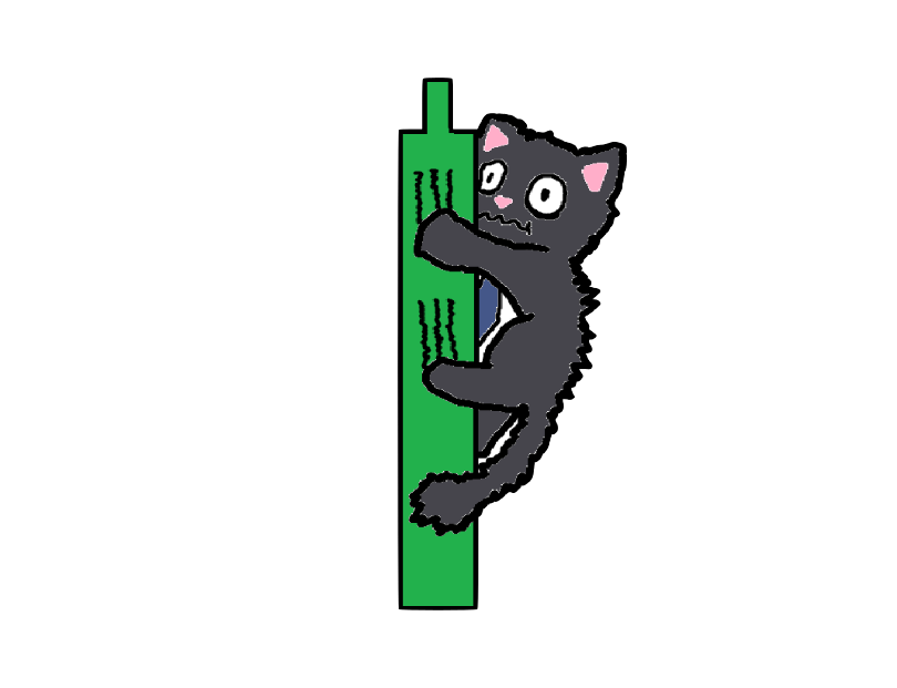 Bella the Crypto Cat